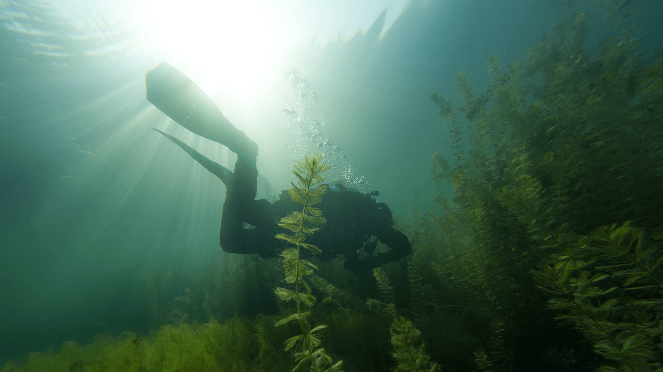 Dry Suit Diving: Staying Warm in Cold Water