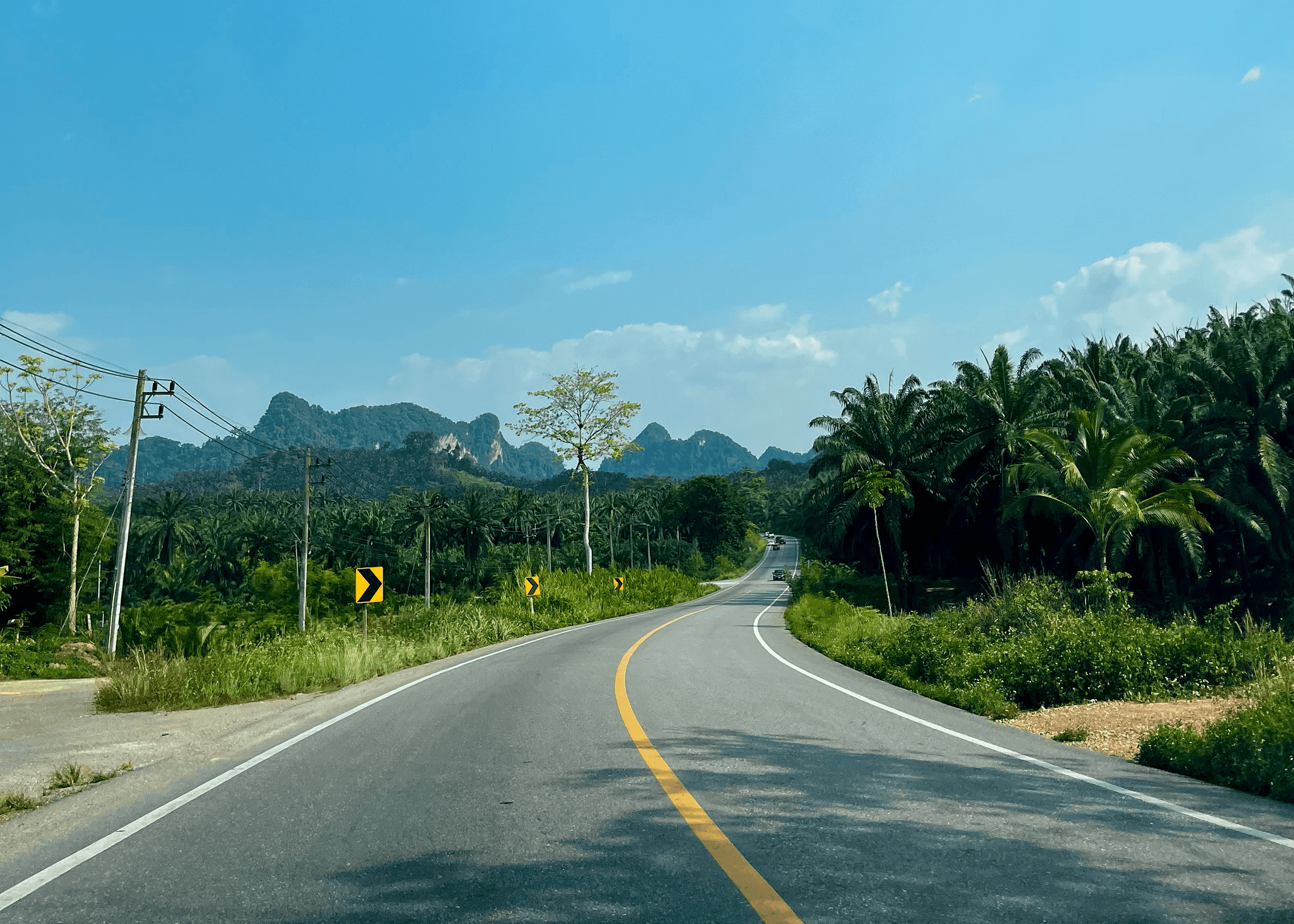 Дорога к парому