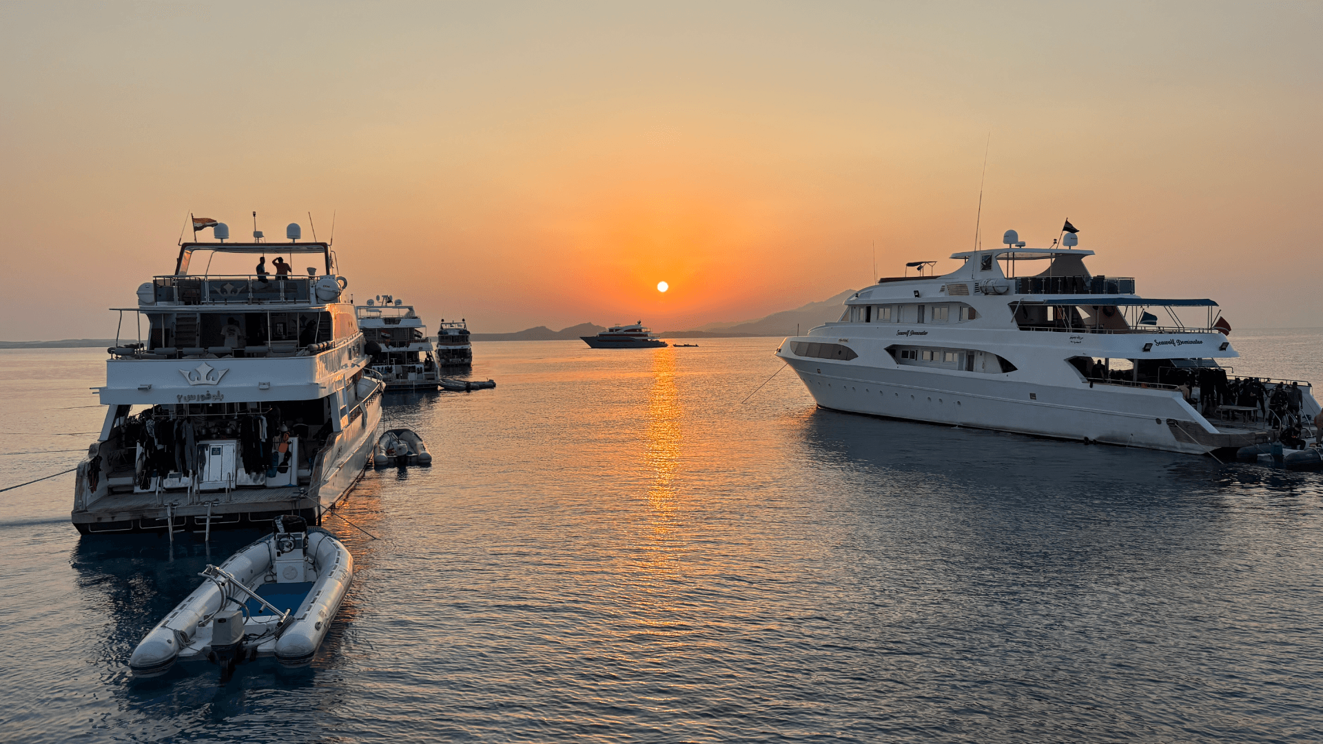 Египет: Дайвинг сафари на Север и Тиран