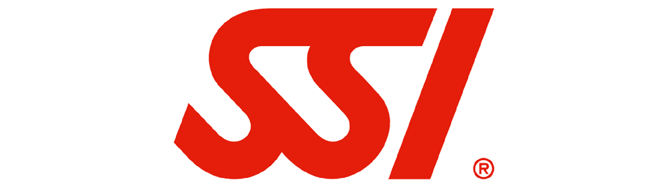SSI SSI