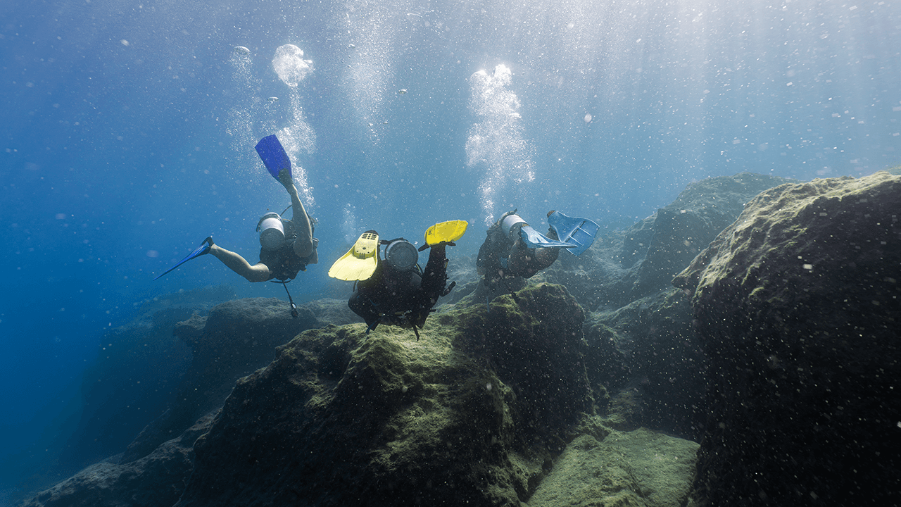 Amphora Corner - Divers Amphora Corner Divers