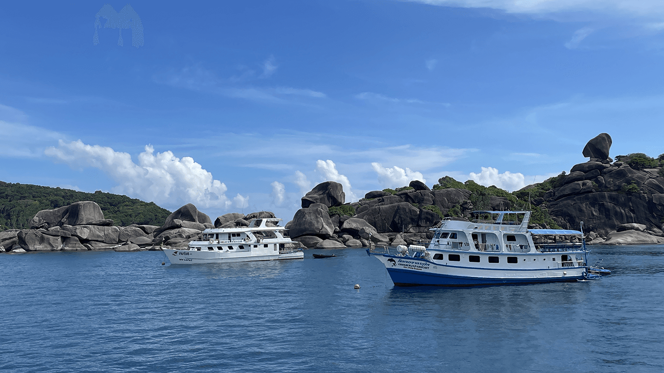 Лодки для Дайвинг-сафари Лодки для Дайвинг-сафари