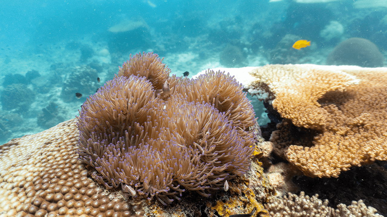 Ну и куда ты уставился?