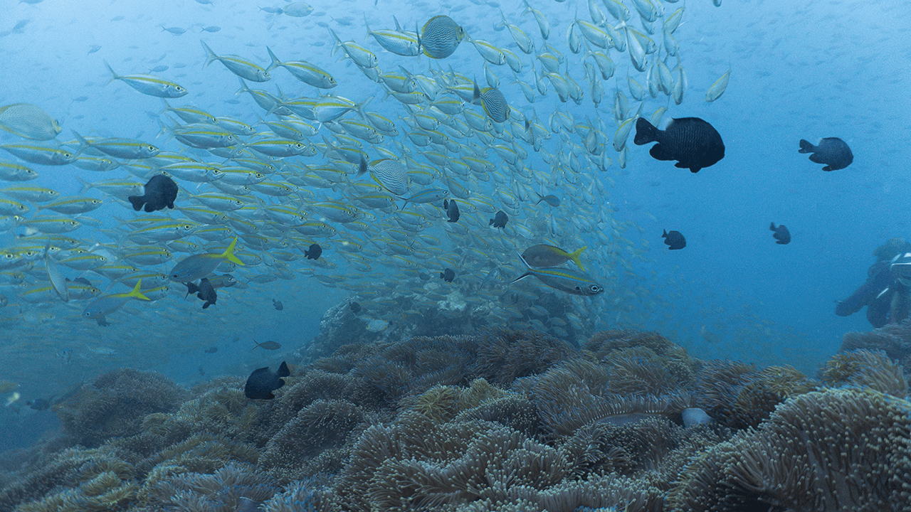 Просто красиво