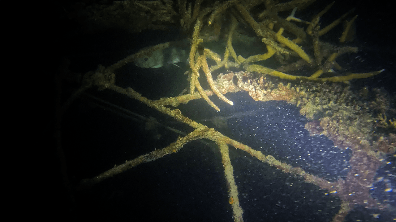 Видишь пуфера? А он там есть